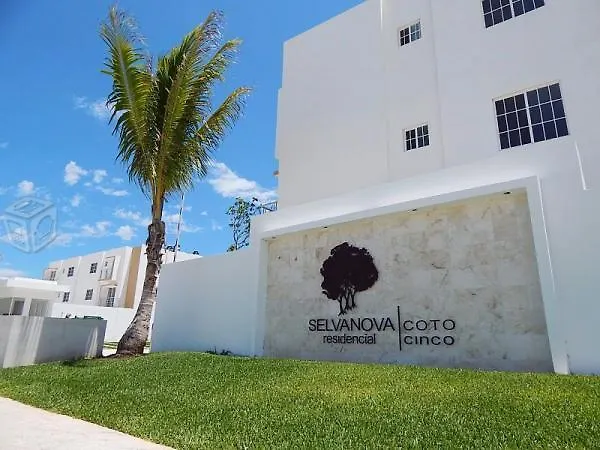 Playa Del Carmen Daire Meksika